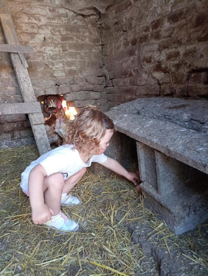 Gite A La Ferme Chez Magali Escaudoeuvres Zewnętrze zdjęcie